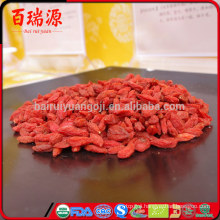 Super food goji berry dried vegetarian food goji